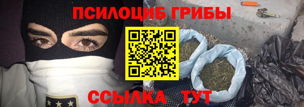 Ефремов  Галлюциногенные грибы Magic Shrooms  купить закладку  Вход с VPN 